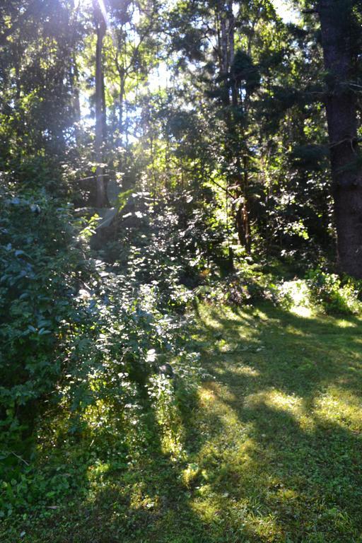 Tuckers Retreat Hotel Canungra Bagian luar foto