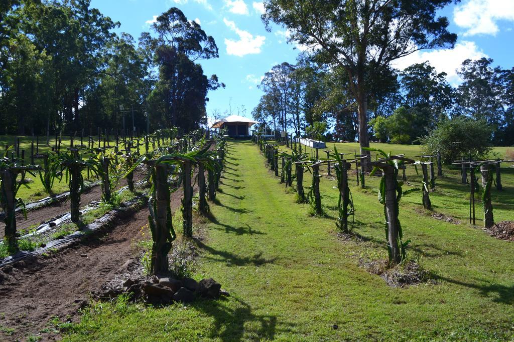 Tuckers Retreat Hotel Canungra Bagian luar foto