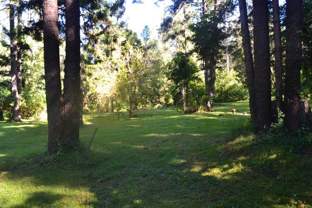 Tuckers Retreat Hotel Canungra Bagian luar foto