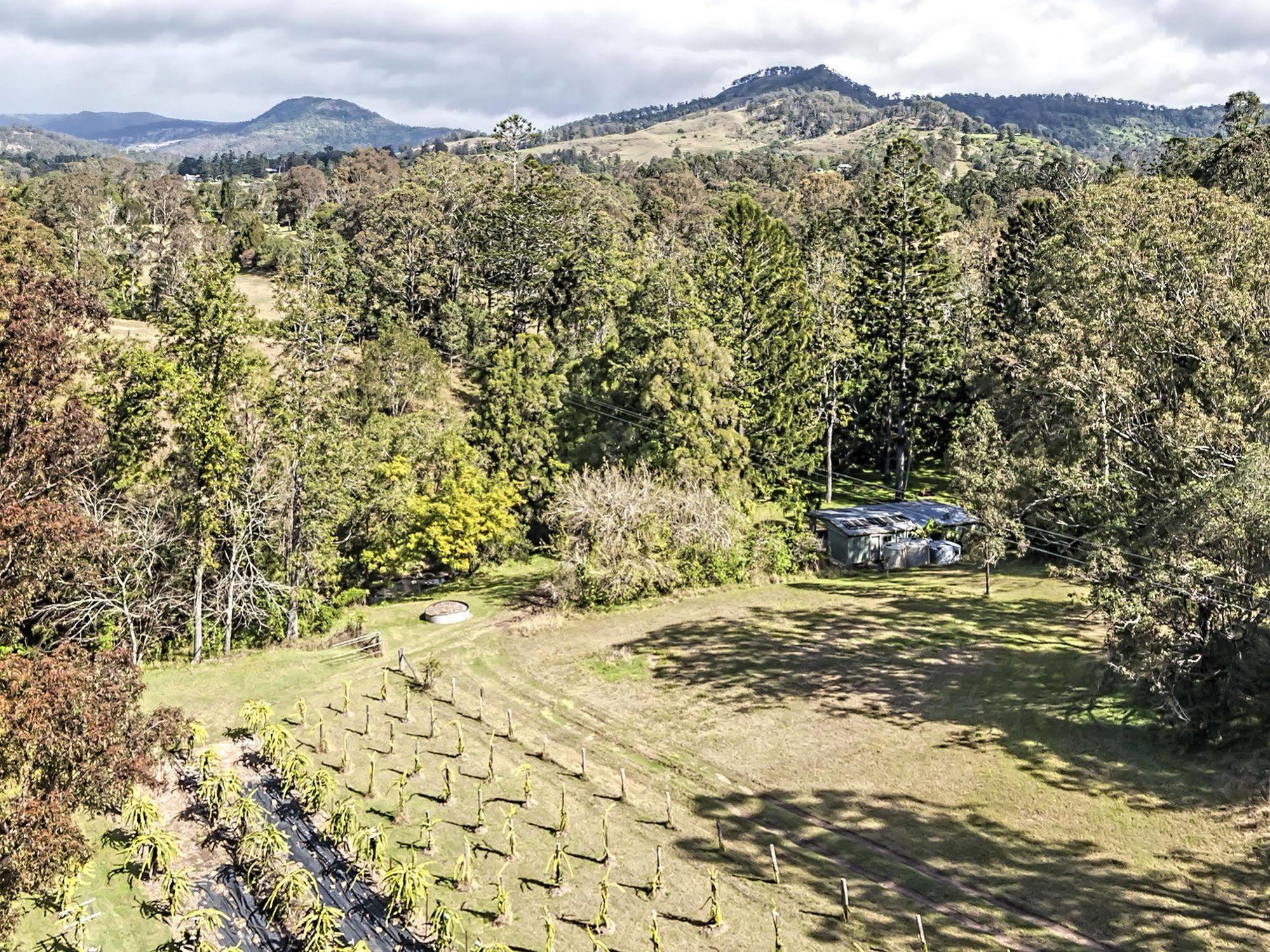 Tuckers Retreat Hotel Canungra Bagian luar foto