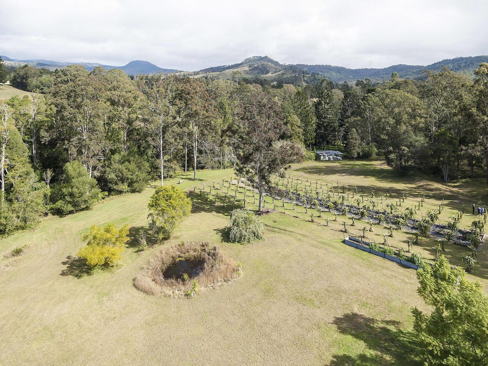 Tuckers Retreat Hotel Canungra Bagian luar foto